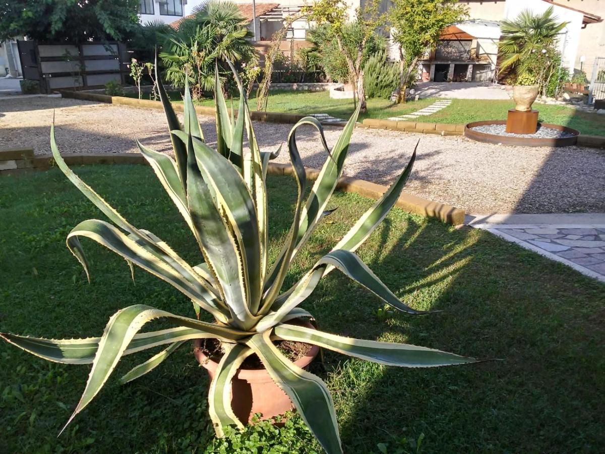 Ca Romi Villa Volta Mantovana Luaran gambar